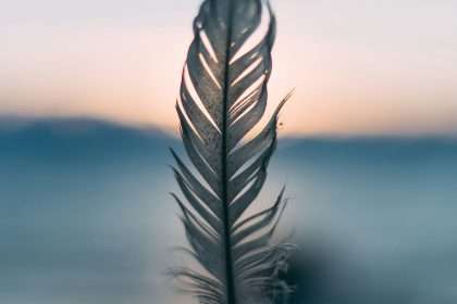 Spiritual Meaning