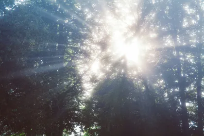 Unlocking the Mystery: What Is Light Language and How Does It Work?