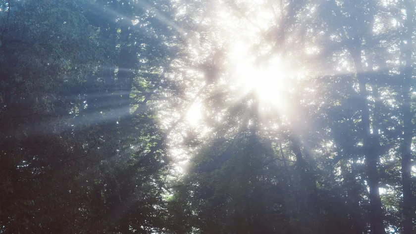 Unlocking the Mystery: What Is Light Language and How Does It Work?