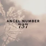 737 angel number