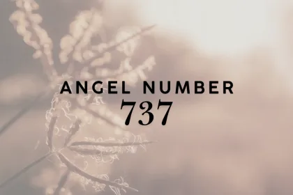 737 angel number