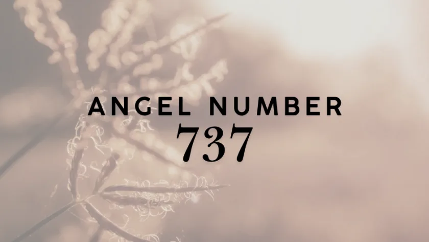 737 angel number