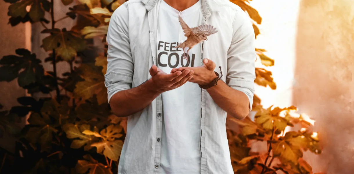 Law of Detachment: How to Let Go and Manifest Your Desires