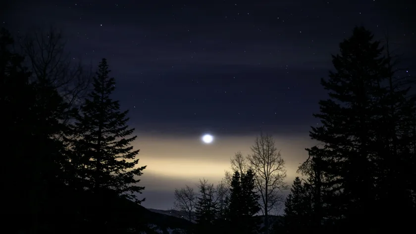 Twelfthtide: Rituals & 13 the Wishes for the Rough Nights Season